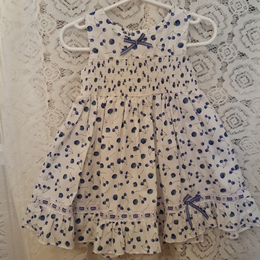 Sweet blueberry print baby girl dress